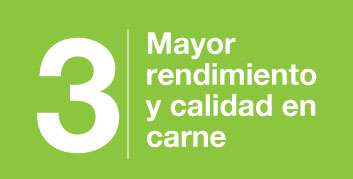 beneficios-3