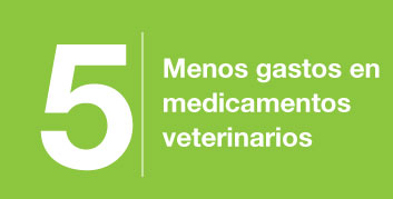beneficios-5