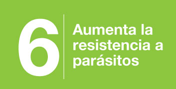 beneficios-6