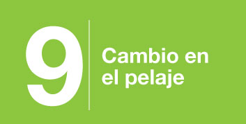 beneficios-9